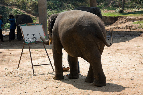 Essay about elephant